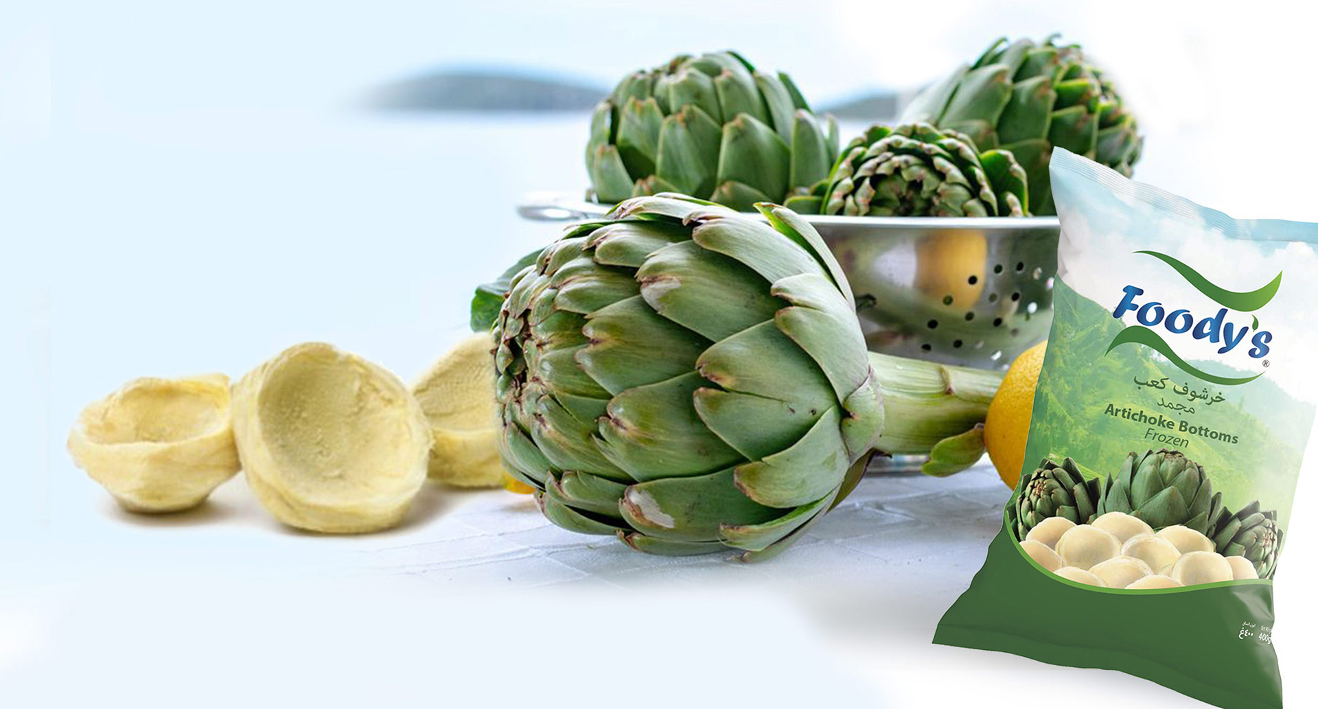 lorem ipsum dolor sit